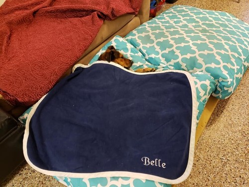 DOG BLANKET BEAUTIFUL HAND MADE "MILTY" BLUE  30 IN. L X 37.5 W. FREE SHIPPING 