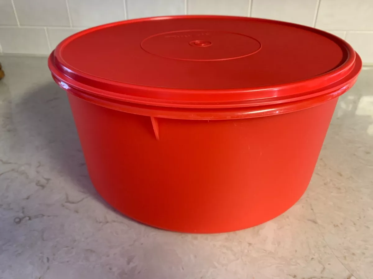 Vintage Tupperware Cake/Cookie Storage Container Red Cover (11x7x2) – Main  Street Estate Sales