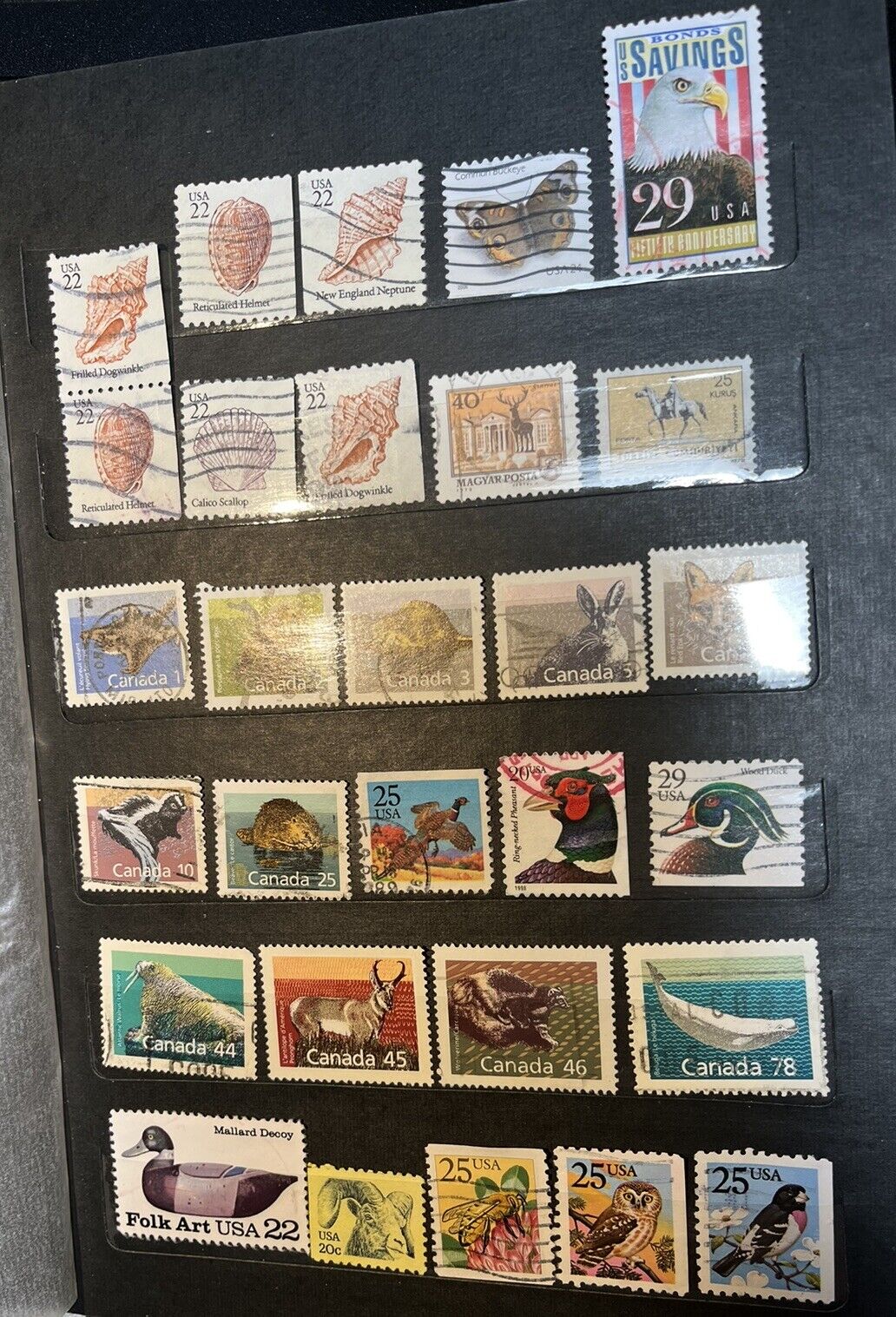 Picture 10 of 13