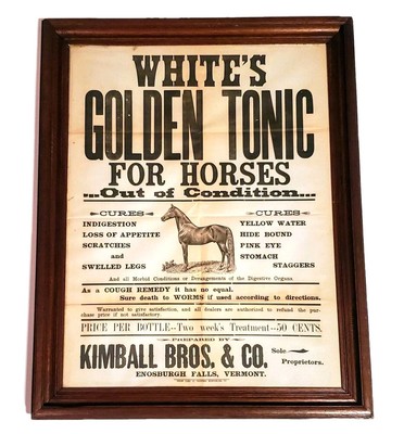 Antique 1890's White's Golden Tonic For Horses Kimball Bros VT Framed Broadside