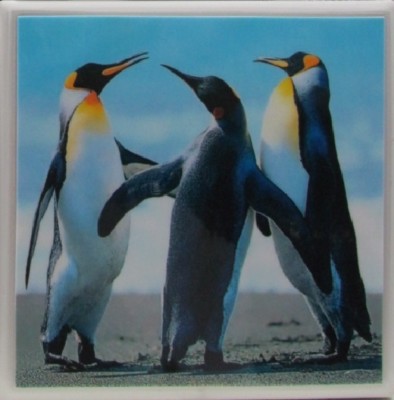 Handmade Stone Ceramic Marble Drink Cup Coasters - Set of 4 - Cute Penguins  2 B