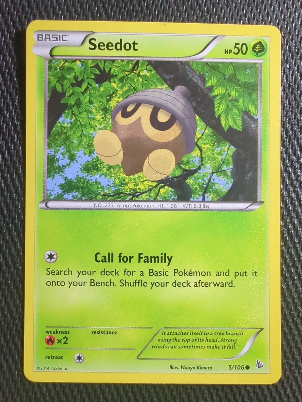 Pokémon TCG Seedot Flashfire 5 Regular Common NM