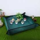 Bild 10 von 12