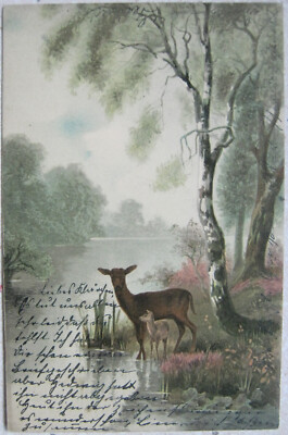 Meißner & Buch Künstlerkarte Jagd-Motiv - Reh mit Kitz im Wald-Idyll - 1905 gel.