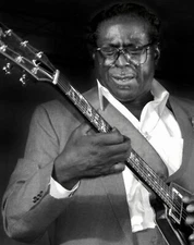 ALBERT KING 8X10 GLOSSY PHOTO PICTURE