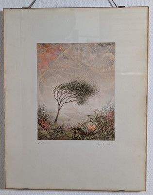 Heinz Voß, orig. colorierte Radierung, limitiert 2/95, signiert, 36 x 46 cm