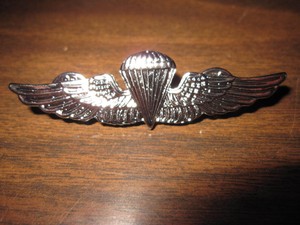Download US ARMY AIRFORCE Paratrooper Wings Insignia Badge Silver ...