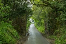 Photo 6x4 Remains of railway bridge Beaworthy Part of the dismantled rail c2016