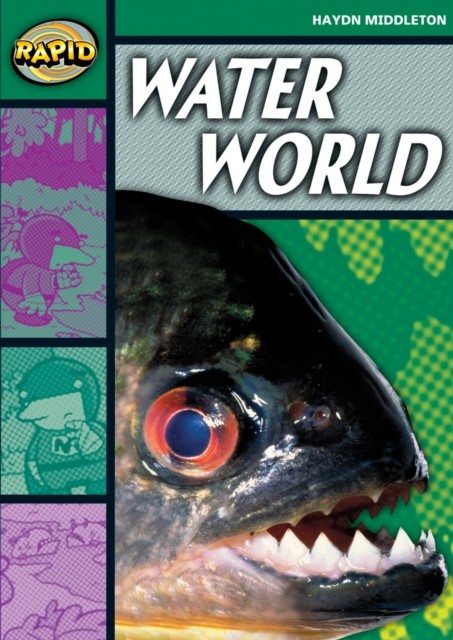 Rapid Reading: Water World (Stage 5 Level 5B) by Haydn Middleton