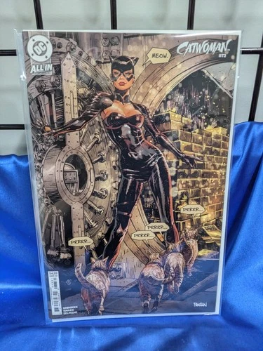 Catwoman #73B Dan Panosian Variant.  We combine. We pack well.