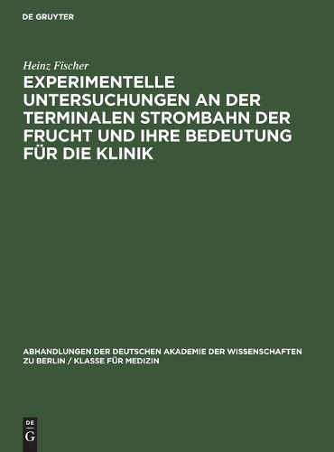Heinz Fischer Experimentelle Untersuchungen an Der Terminalen Stromba (Hardback)