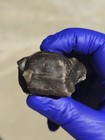 NWA 14403 Eucrite Meteorite 87.119g Fusion Crusted Individual Rare COA — photo 9
