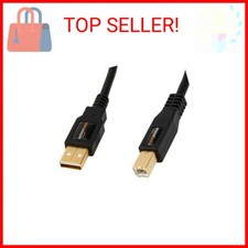 Amazon Basics USB-A to USB-B 2.0 Cable for Printer or External Hard Drive, Gold-