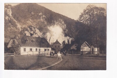 D1607 Ansichtskarte ST. AEGYD am Neuwalde  FOTO AK Bauernhof Tiere FOTO SCHWARZ 