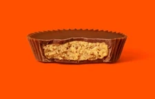 REESE'S - SNACK SIZE PEANUT BUTTER CUPS IN MILK CHOCOLATE, BULK BAG-PRICE VALUE!