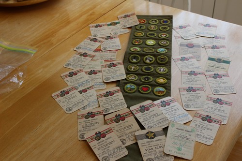 BSA 1954-55 Atlantic Area Council - 27 Merit Badges on Sash w/Cards + 5 patches - Picture 11 of 13