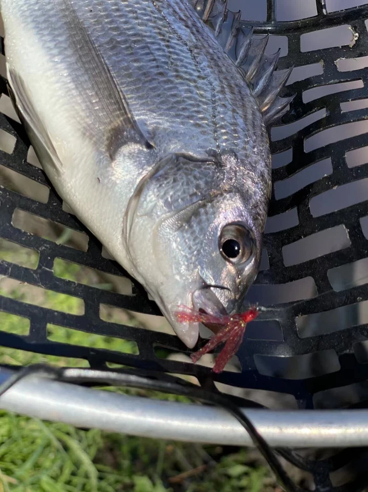 20 X DIY Flasher Fishing Rig Assorted Colors Fishing Whiting Bream Hooks Size 4# - image 4 of 4