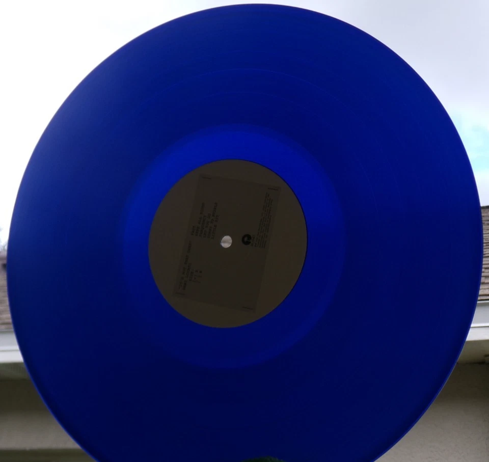 DEMI LOVATO IT'S NOT THAT DEEP BLUE LP SIGNED POSTER FAST KISS HERE ALL NIGHT - Image 4 of 4