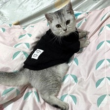 Spring Winter Sphynx Cat Clothes Warm Pet Knitting Sweater for Cats Gotas Dog Pu
