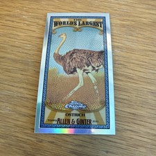 2021 Allen & Ginter Chrome Mini - World’s Largest - #MWL-21 - Ostrich
