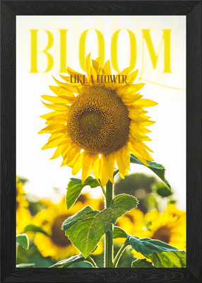 Bloom Like A Flower Framed Wall Art Poster Canvas Print Picture