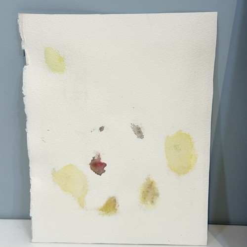 Original Watercolor Painting Cat Yellow Brick Road Signed Jennifer Wheeler 2020 - Picture 4 of 6