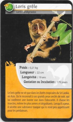 Carte Bioviva! - Loris grêle