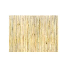 Natural Rolled Bamboo Fence Bamboo Panel 4 ft H x 6 ft L x 0.75 in D Durable