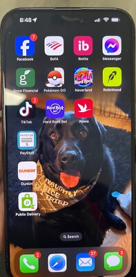 Tik Tok app installed Apple iPhone 15 Pro Max - 256 GB - Blue (Spectrum)