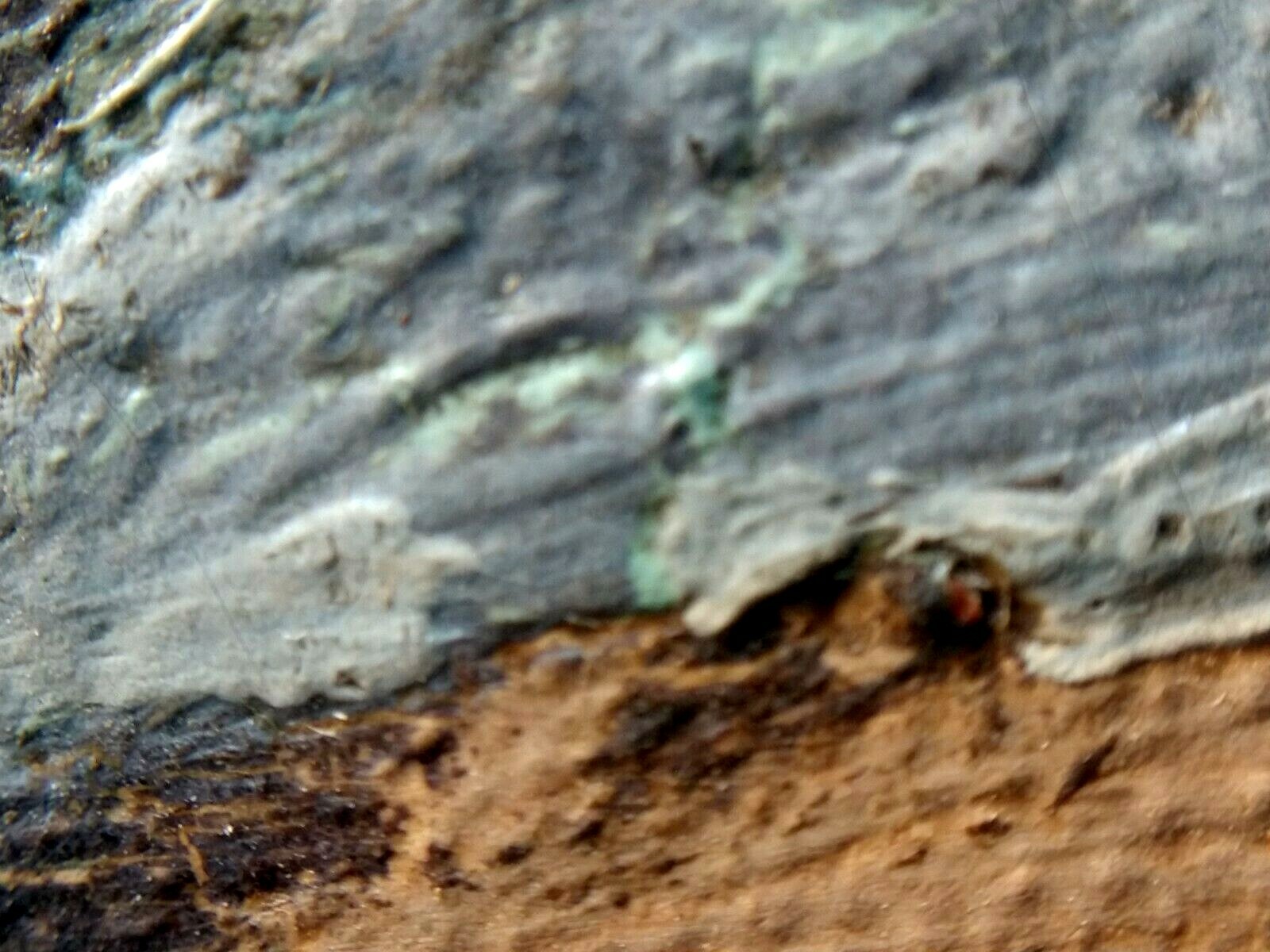 Picture 9 of 12