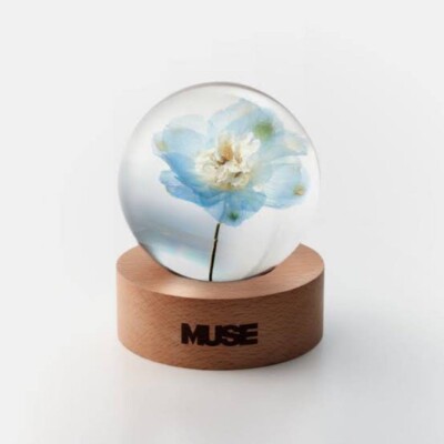 アイドル BTS JIMIN MUSE Paper Weight s-l400.jpg