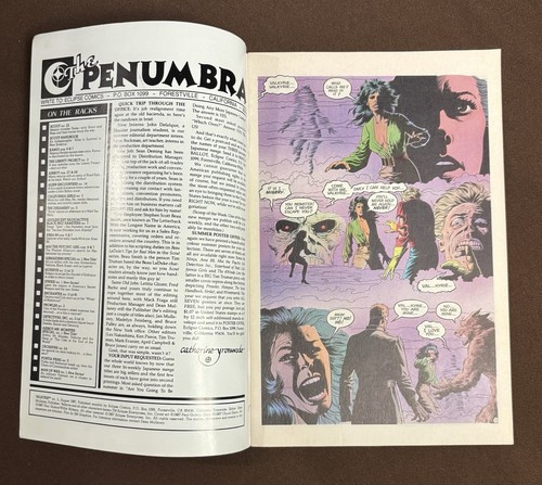 Valkyrie n.3 di 3 fumetti Eclipse 1987 fumetto insaccato e imballato quasi nuovo ottimo - Foto 9 di 18