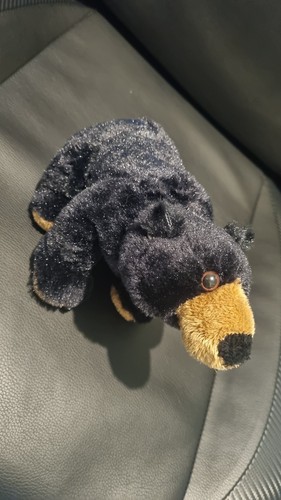 Webkinz American Black Bear Ganz No Code Plush Toy HTF RARE - Picture 1 of 11