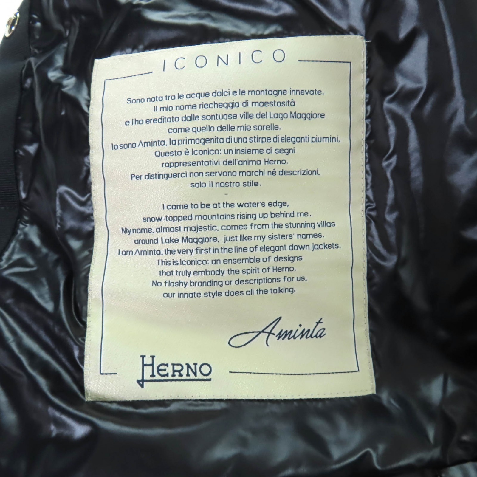 Pristine Herno Down jacket AMINTA black Nylon Wom… - image 9