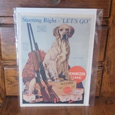 1928 Remington UMC Nitro Old Print AD Iver Johnson Shotgun Shells Hunting Dog