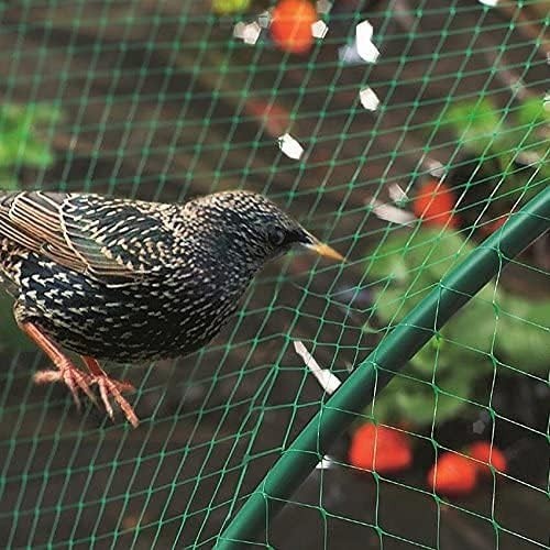 2X 4x10m Green Garden Netting - Reliable Bird Protection for Crops and Plants - Bild 4 von 9
