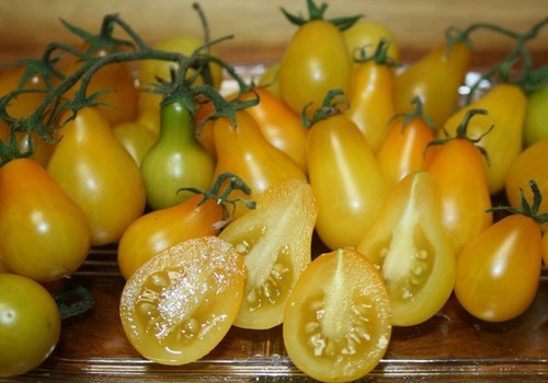 TOMATO YELLOW PEAR UK SOURCED NATURAL SEED 120 SEEDS SOW BY 08/2026 - Picture 6 of 12