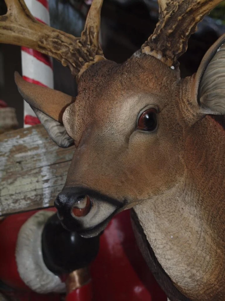 Hirsch Kopf Deko Figur 50cmx60cm  lebensecht Wand Deko Gartenfigur  NEU - Bild 4 von 4