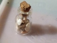 Sea Shell Mini Bottle