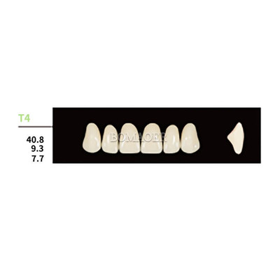 Synthetic Polymer Resin False Teeth - T4 Upper Square Anteriors A3 Shade