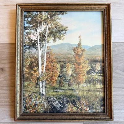 ''Mt. Lafayette from Sugar Hill'' by Charles Sawyer Rare Antique Handcolored photo