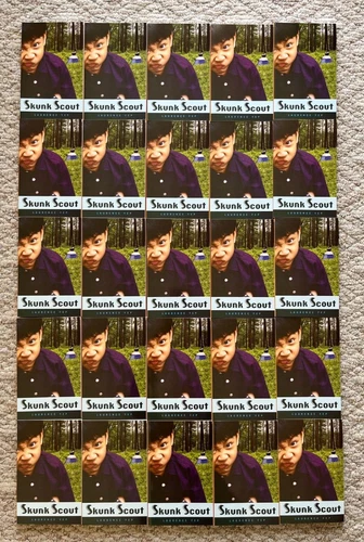 NEW Lot Set of 25  SKUNK SCOUT PB Chapter Books 5th Grade 5 Teacher Class  Yep