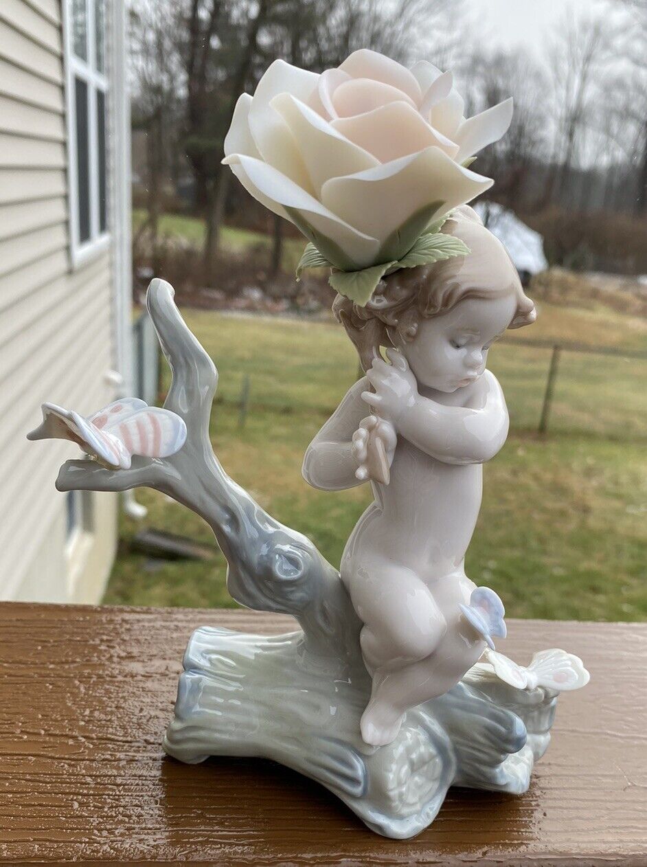 Picture 1 of 7