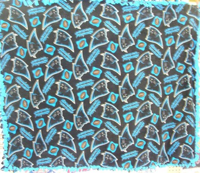 Carolina Panthers NFL "Glory Days" Double-Sided Cloud ...