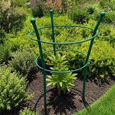 Peony Plant Support Frame Small Steel Garden Shrub Rose Green