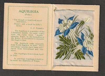 Kensitas Seidenblume Medium AQUILEGIA grün Staubblätter Ordner B