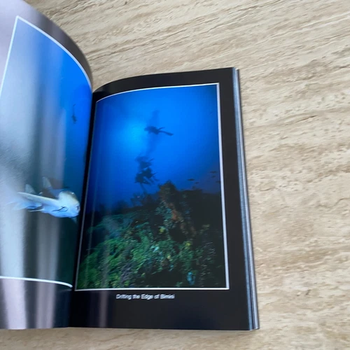 Marine Photography: Underwater Bahamas - Bob Friel - Diving / Coral Reef 1993 - Picture 18 of 20