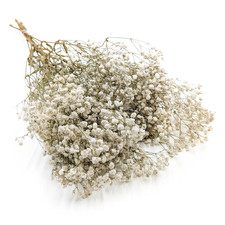 Stabilisiertes Schleierkraut - (Gypsophila) - Royal Bouquet - Nat&uuml;rlich