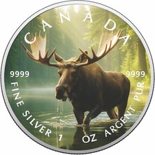  2026 Canada 1 oz 9999 argento FDC monarca della nebbia l'alce della foresta colorato