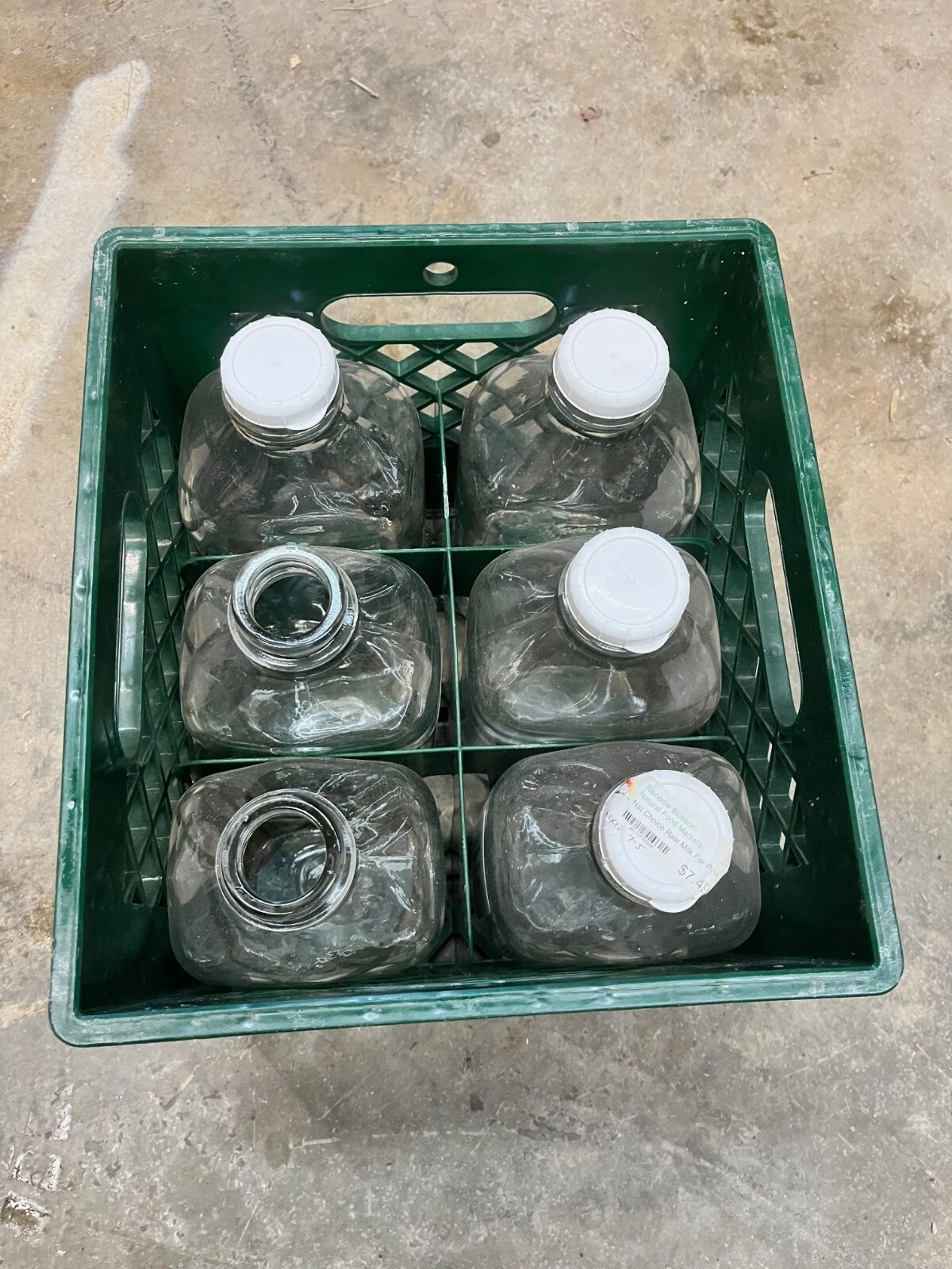 6 clean used 1/2 gallon glass milk jars with lids in divided plastic crate
Opens in a new window or 